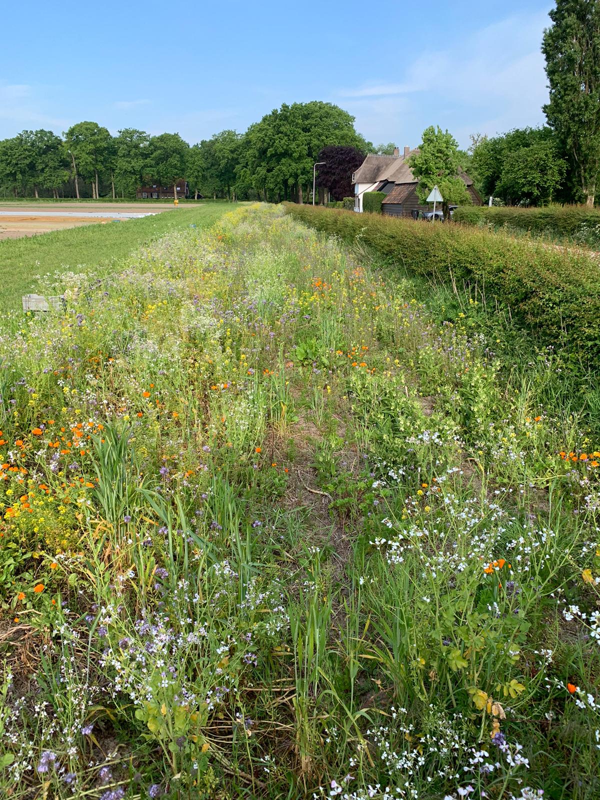 Interessante ontwikkelingen gezien op Proeftuin Randwijk