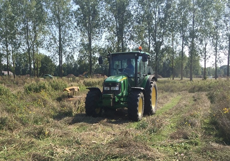 Beheer in Park Lingezegen