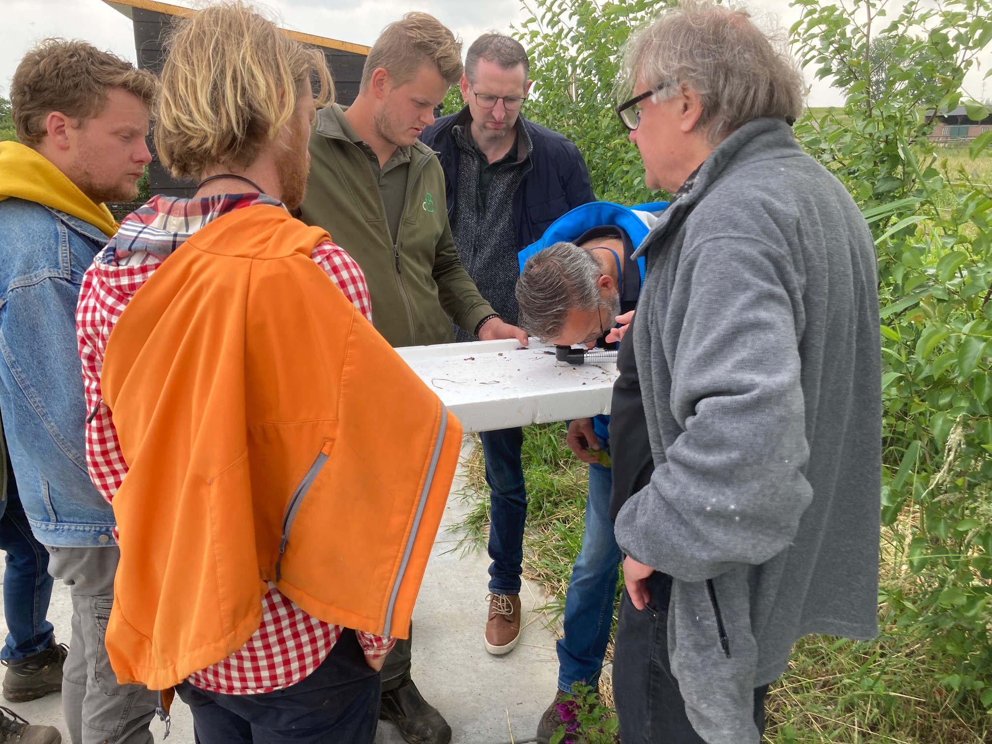 Fruittelers en boomkwekers kijken naar inzet natuurlijke plaagbestrijders