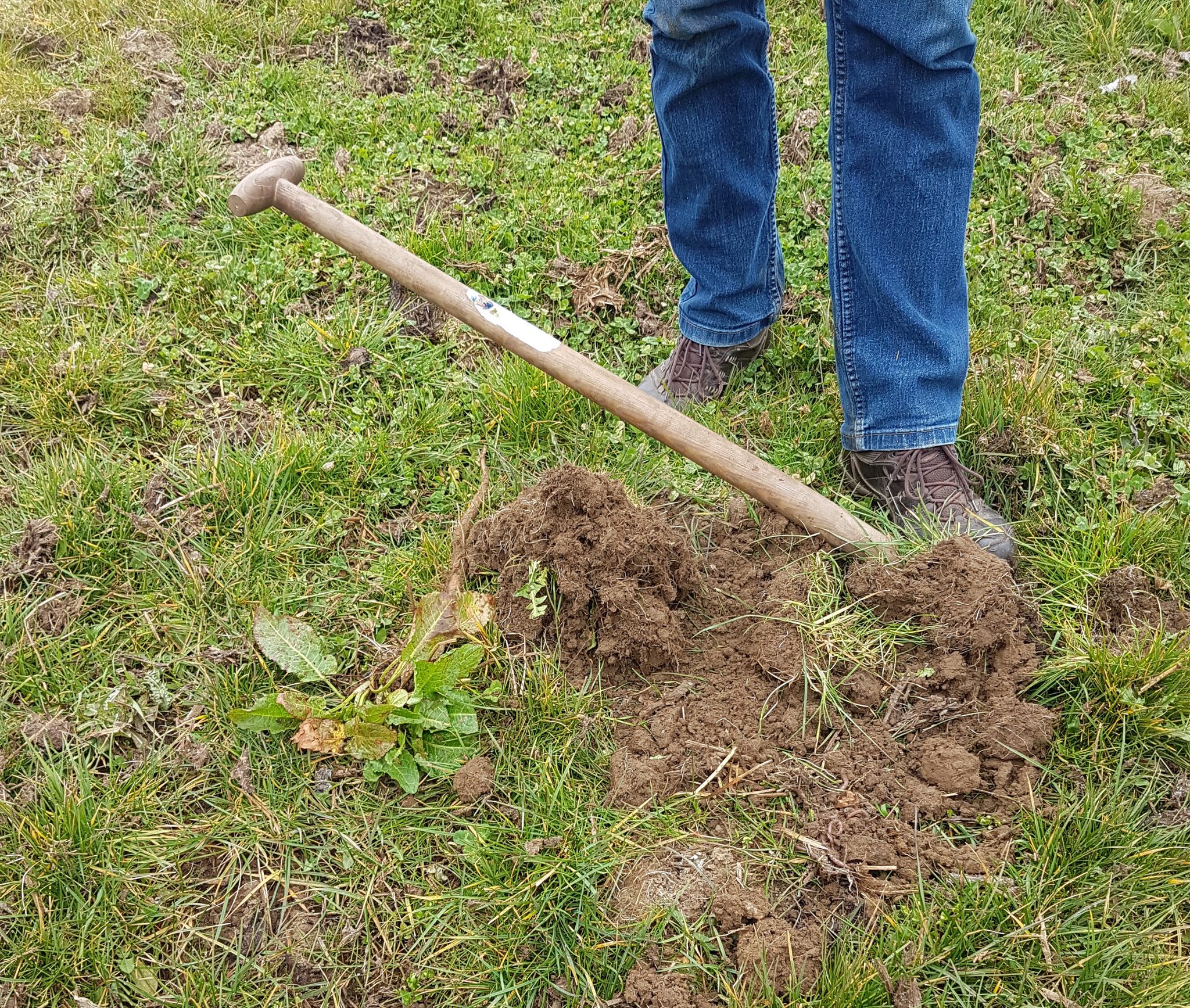 Excursies bodemverbetering