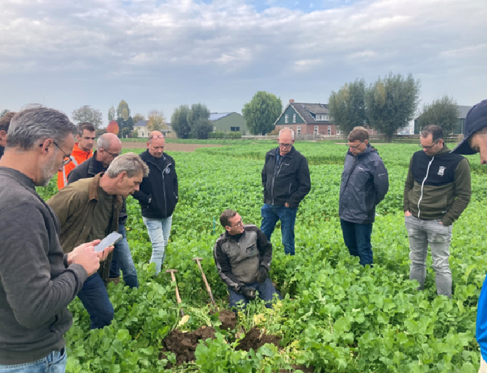 Experimenteren met groenbemesters