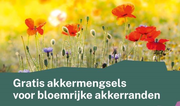 Gratis akkermengsels voor bloemrijke akkerranden in het rivierengebied: doet u ook mee?