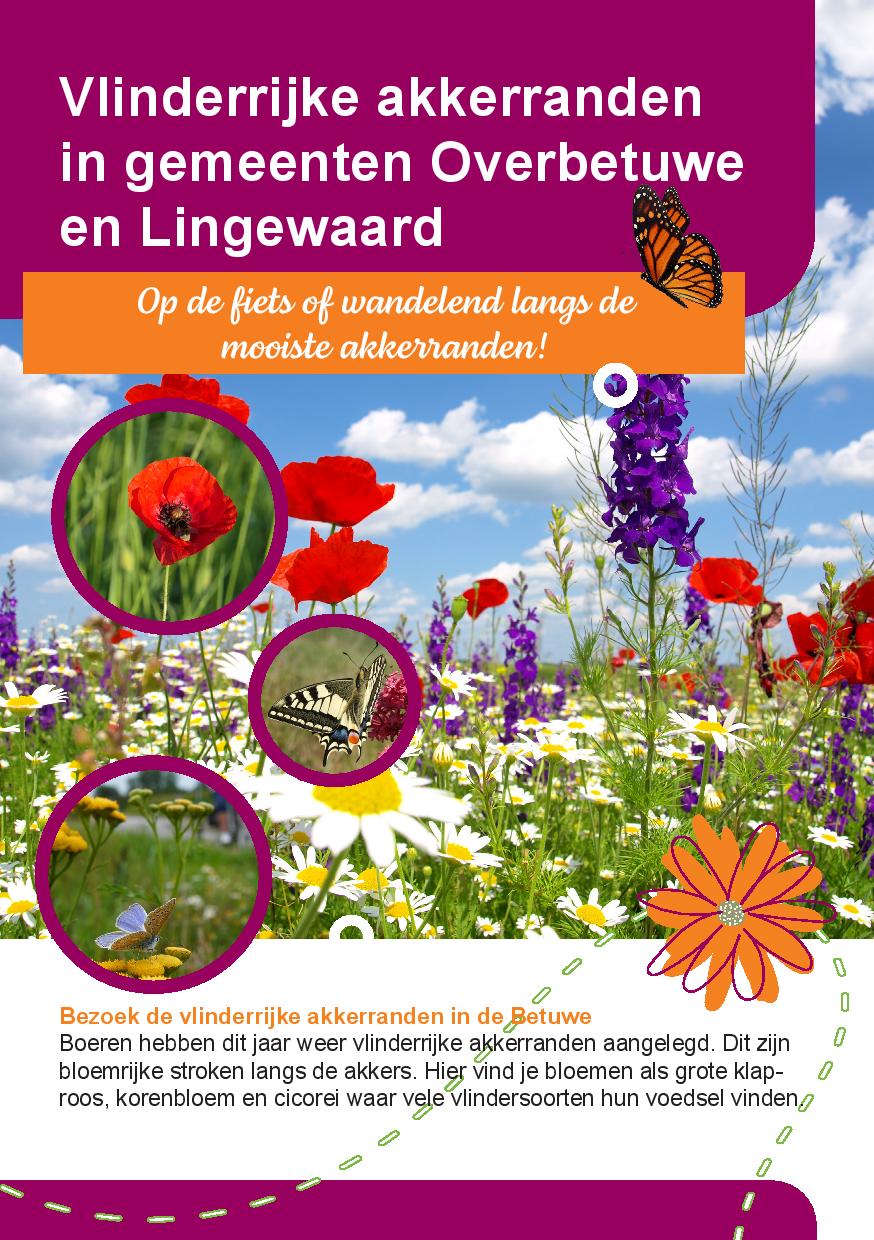 Fietsen langs vlinderrijke akkerranden op 30 augustus