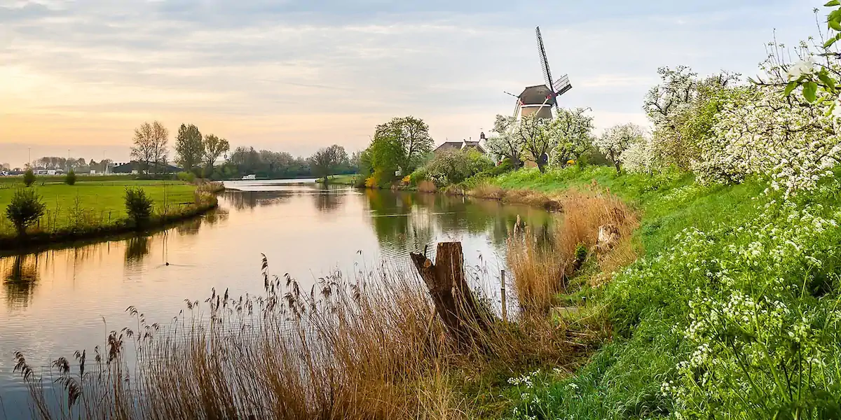 anvlingestreek-anvlingestreek-cr-header-lingekant